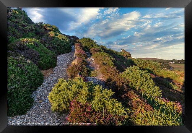 Headon Hill Heather Framed Print by Wight Landscapes