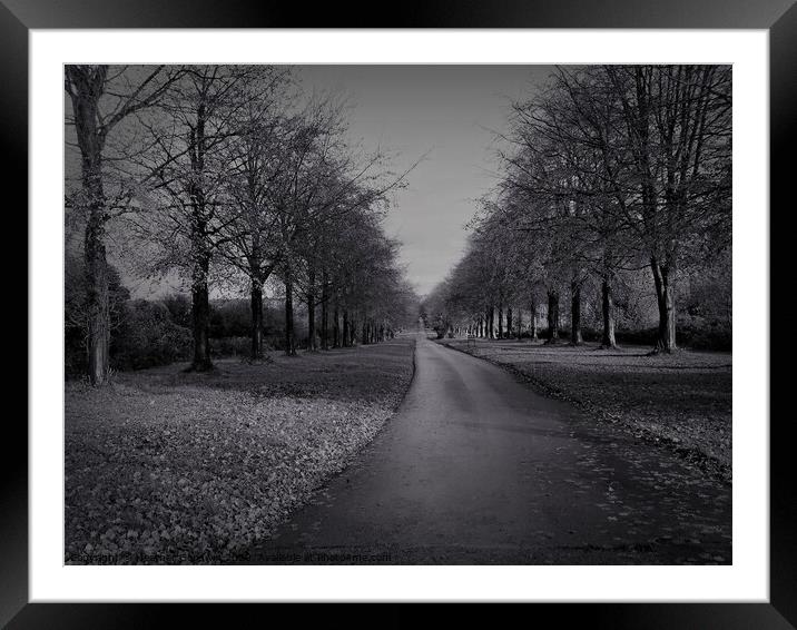 Long Drive Framed Mounted Print by Heather Goodwin