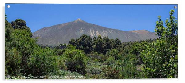 Mount Teide Acrylic by Peter Louer