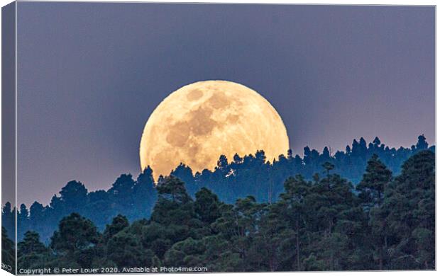 Full Moon Rising Canvas Print by Peter Louer