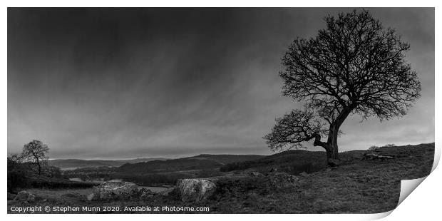 Tree on a hillside, Peak District Print by Stephen Munn