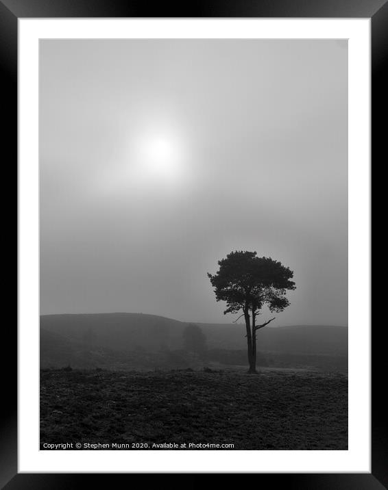 Fog on the forest, New Forest National Park Framed Mounted Print by Stephen Munn