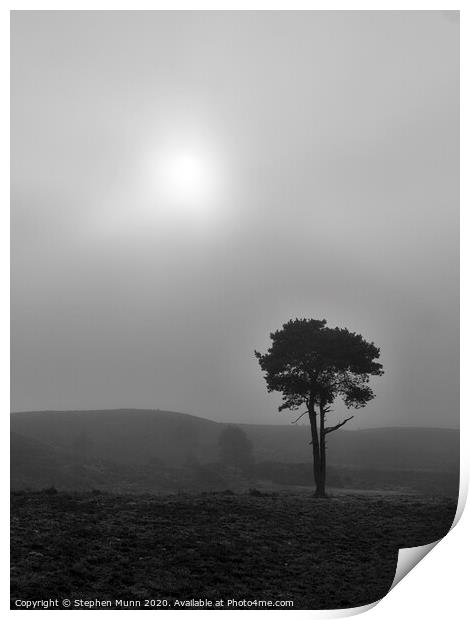 Fog on the forest, New Forest National Park Print by Stephen Munn