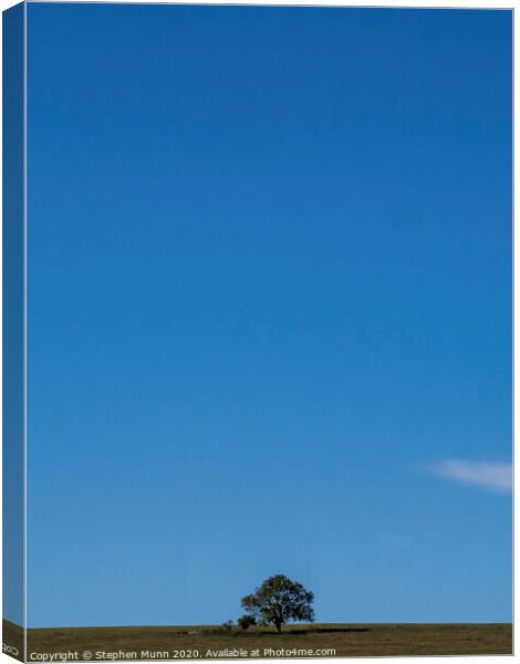 Lone tree on the skyline, Fontmell Common, Dorset Canvas Print by Stephen Munn