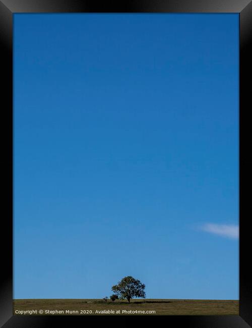 Lone tree on the skyline, Fontmell Common, Dorset Framed Print by Stephen Munn