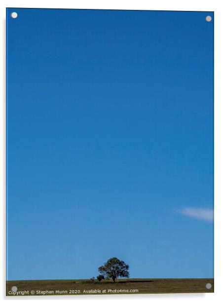 Lone tree on the skyline, Fontmell Common, Dorset Acrylic by Stephen Munn