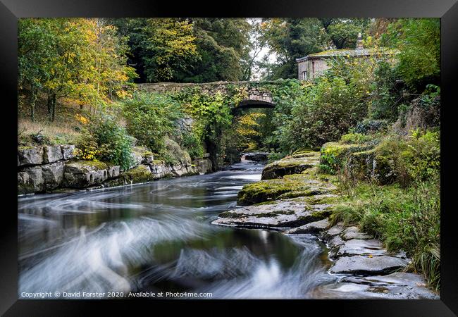 The Dairy Bridge and the River Greta in Autumn, Barnard Castle, County Durham.   Framed Print by David Forster