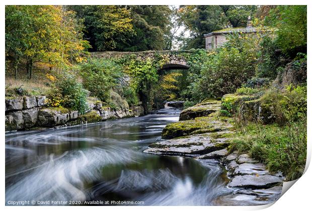 The Dairy Bridge and the River Greta in Autumn, Barnard Castle, County Durham.   Print by David Forster