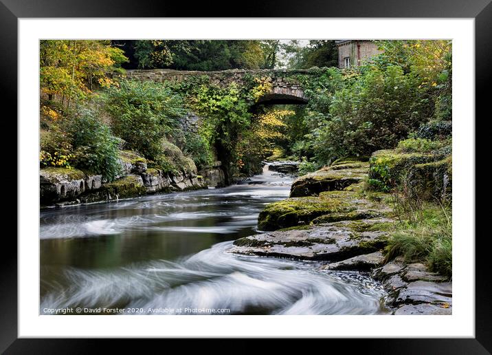 The Dairy Bridge and the River Greta in Autumn, Barnard Castle, County Durham.   Framed Mounted Print by David Forster