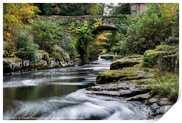 The Dairy Bridge and the River Greta in Autumn, Barnard Castle, County Durham.   Print by David Forster