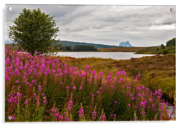 Suilven and Loch Craggie Acrylic by Derek Beattie