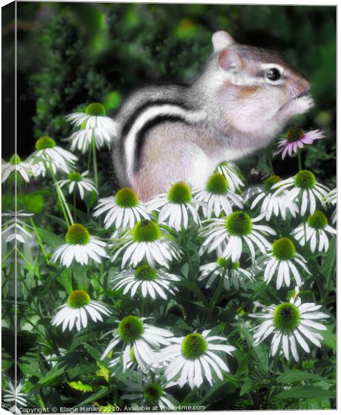 Flower Baby Chipmunk Canvas Print by Elaine Manley