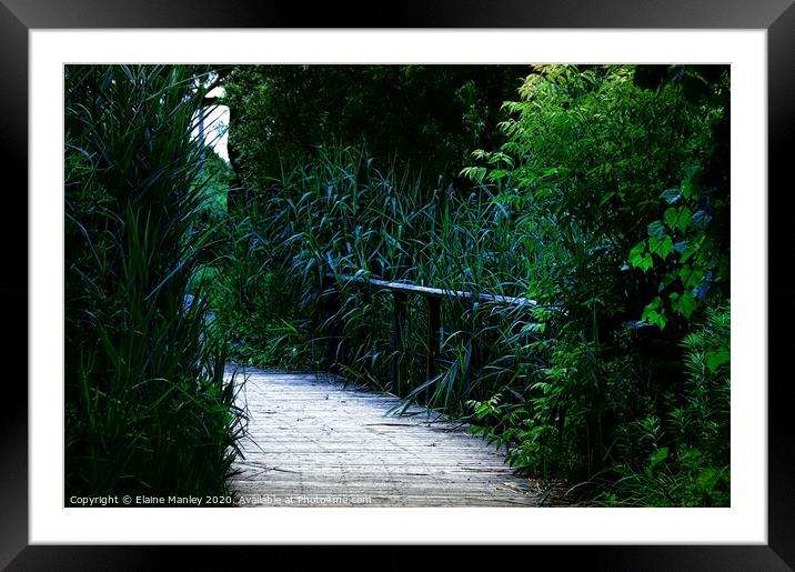 Bluegrass Walkway Framed Mounted Print by Elaine Manley