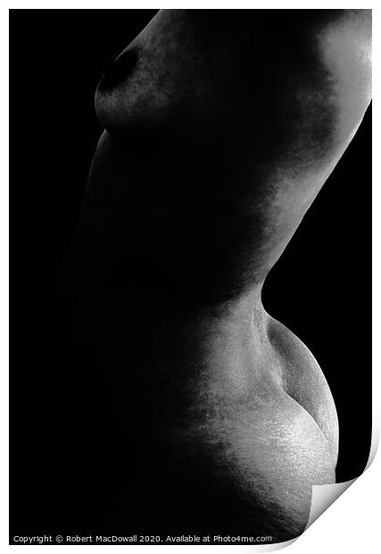 Abstract female nude torso in monochrome Print by Robert MacDowall