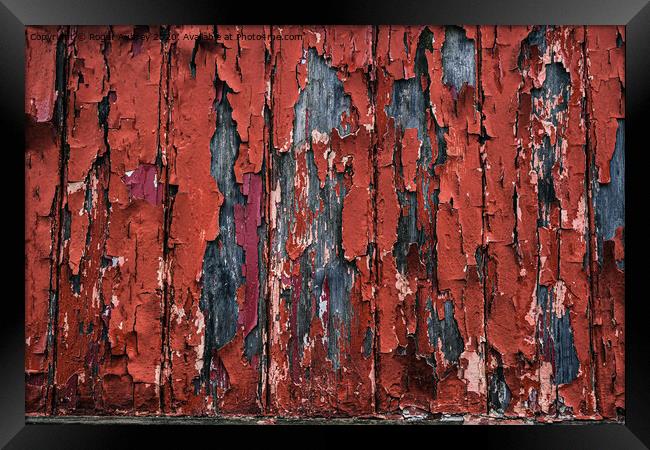 Flaking Paint Framed Print by Roger Aubrey