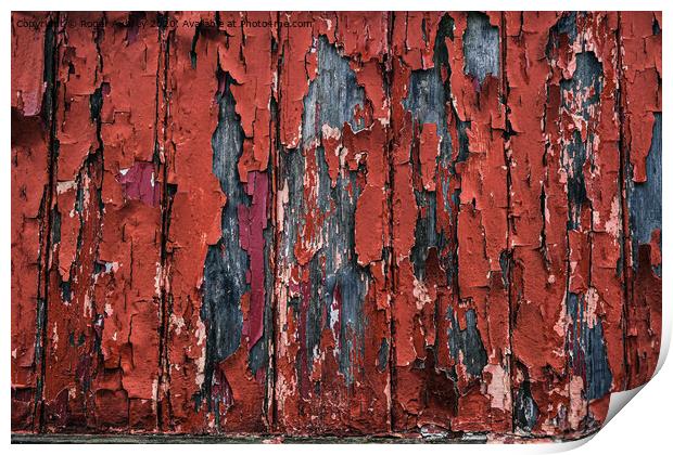 Flaking Paint Print by Roger Aubrey