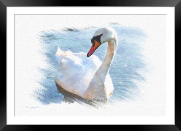 Lonely swan on lake water Framed Mounted Print by Wdnet Studio