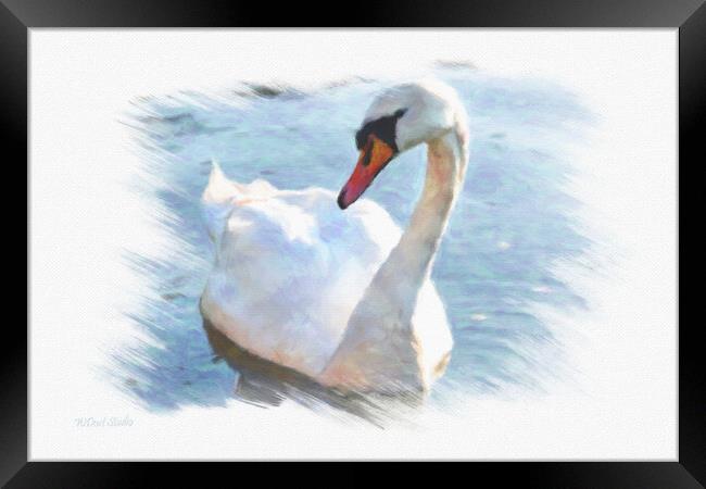 Lonely swan on lake water Framed Print by Wdnet Studio