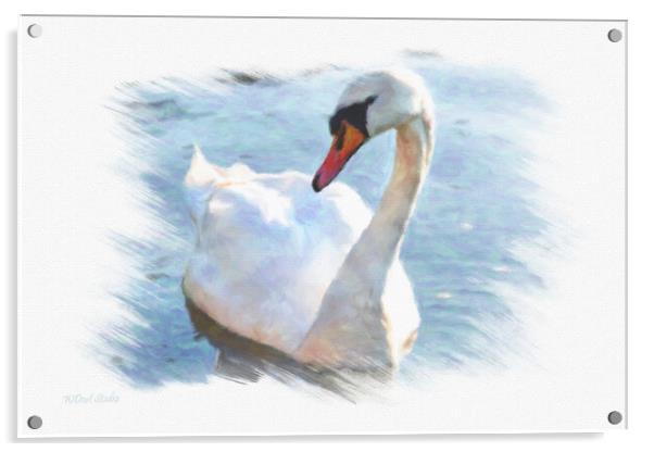 Lonely swan on lake water Acrylic by Wdnet Studio