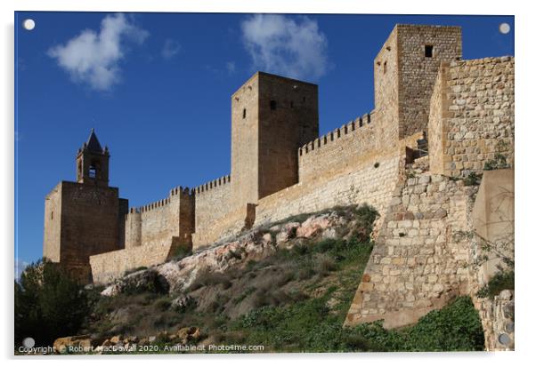 Alcazaba de Malaga, Spain  Acrylic by Robert MacDowall