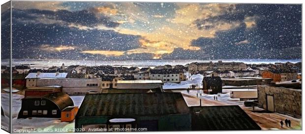 Sunshine through the snow Canvas Print by ROS RIDLEY