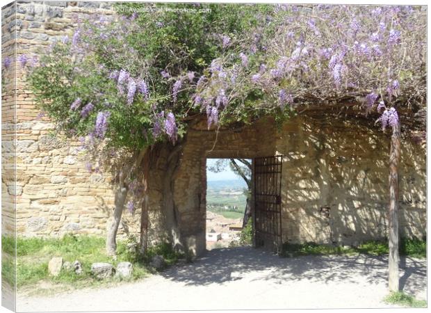 Tuscan Gateway Canvas Print by Sheila Ramsey