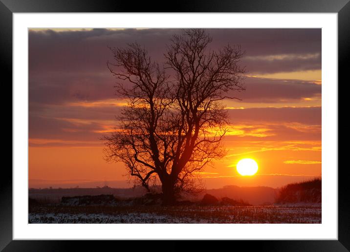 Cotswold dawn Framed Mounted Print by Simon Johnson