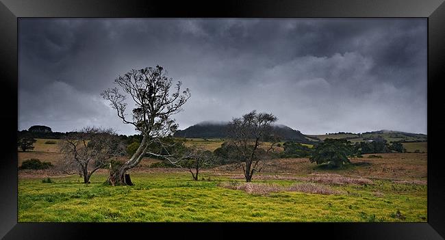 High Country Winter Framed Print by Dennis Gay