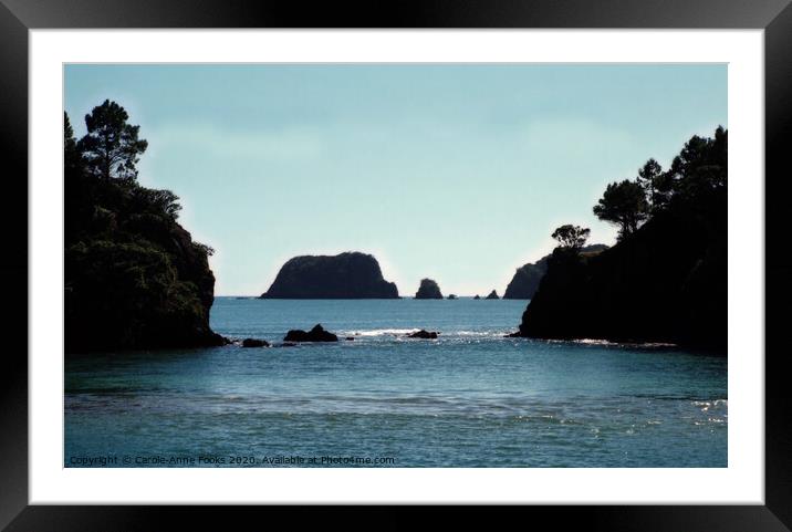 Bay of Islands, New Zealand Framed Mounted Print by Carole-Anne Fooks