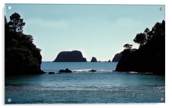 Bay of Islands, New Zealand Acrylic by Carole-Anne Fooks