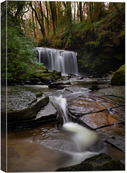 Waterfall on The Upper Clydach River in Pontardawe, Swansea Canvas Print by Leighton Collins