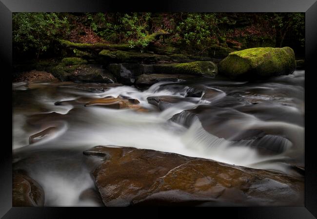 Moss covered rocks on The Upper Clydach River Framed Print by Leighton Collins