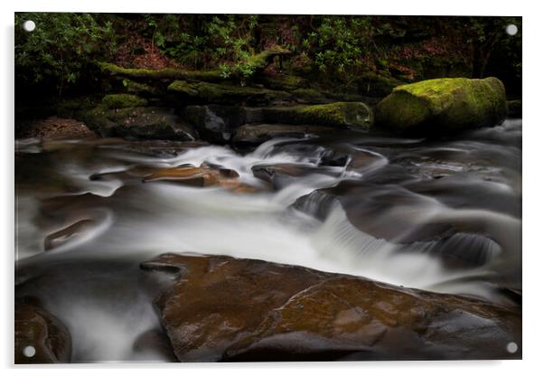 Moss covered rocks on The Upper Clydach River Acrylic by Leighton Collins