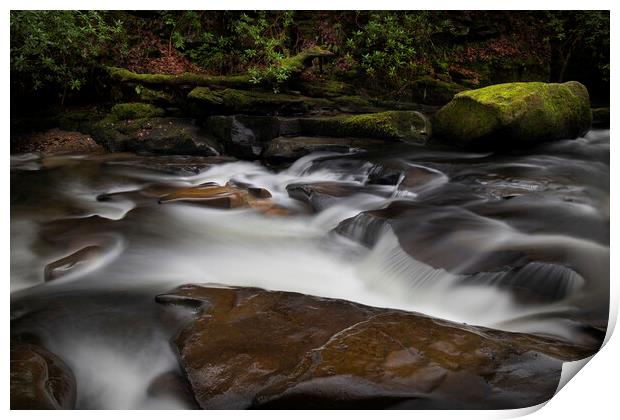 Moss covered rocks on The Upper Clydach River Print by Leighton Collins
