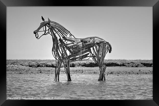 The Lifeboat Horse at Wells-next-the-Sea  Framed Print by Sally Lloyd