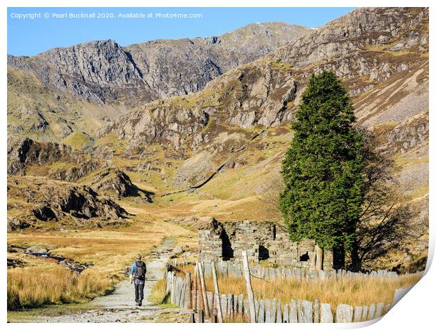 Walking the Watkin Path to Snowdon Print by Pearl Bucknall