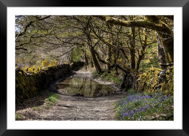 Green Lane, Undermillbeck Common, Cumbria Framed Mounted Print by Beverley Middleton