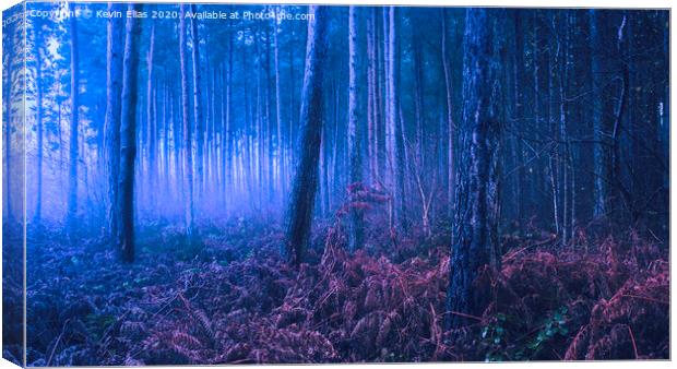 Mystical wood Canvas Print by Kevin Elias