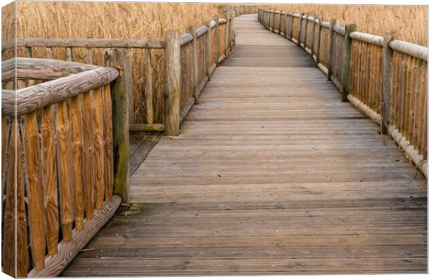 Boardwalk Labyrinth Canvas Print by DiFigiano Photography