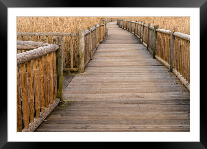 Boardwalk Labyrinth Framed Mounted Print by DiFigiano Photography