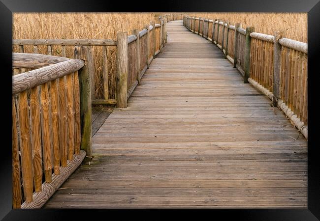 Boardwalk Labyrinth Framed Print by DiFigiano Photography
