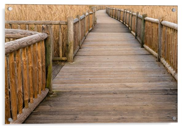 Boardwalk Labyrinth Acrylic by DiFigiano Photography