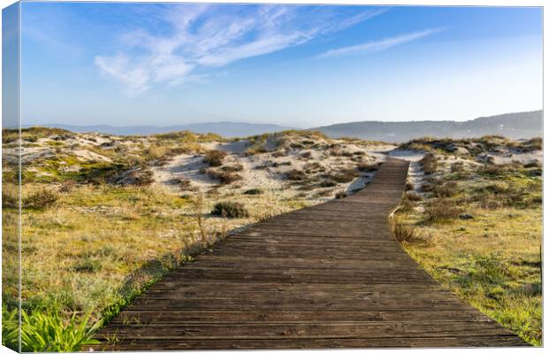 Across the Dunes Canvas Print by DiFigiano Photography