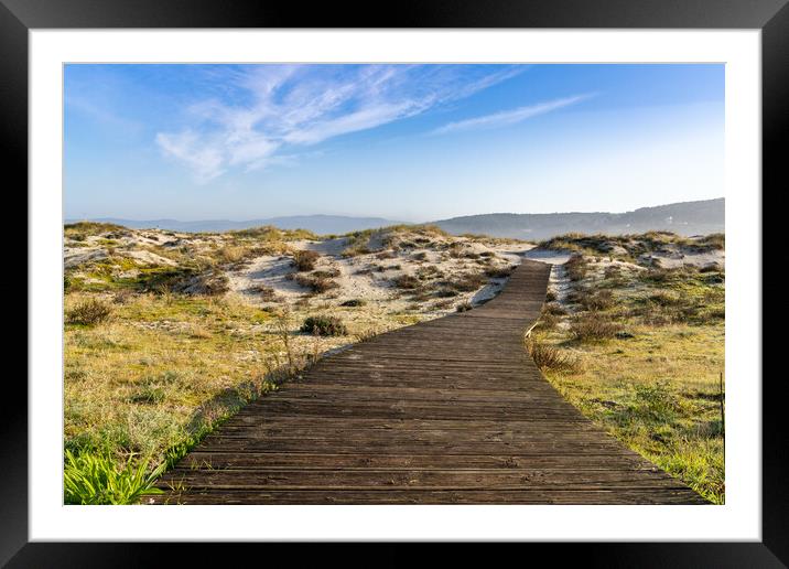 Across the Dunes Framed Mounted Print by DiFigiano Photography