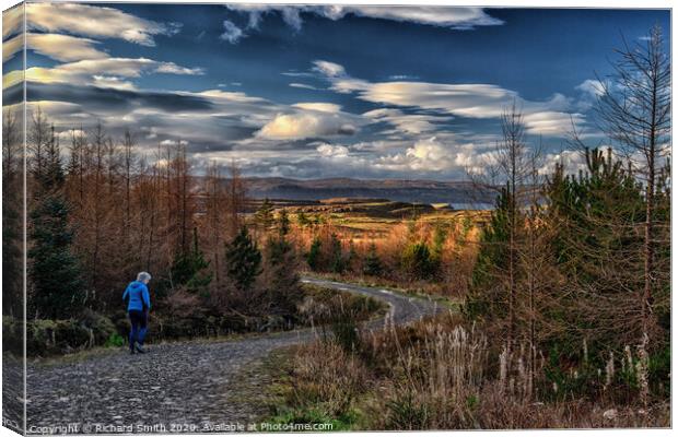 Returning to the start of the forest road. Canvas Print by Richard Smith