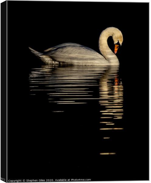 Reflective swan Canvas Print by Stephen Giles