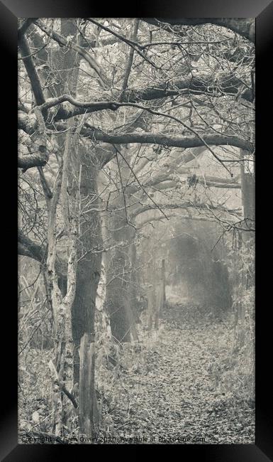 Frosty pathway  Framed Print by Sam Owen