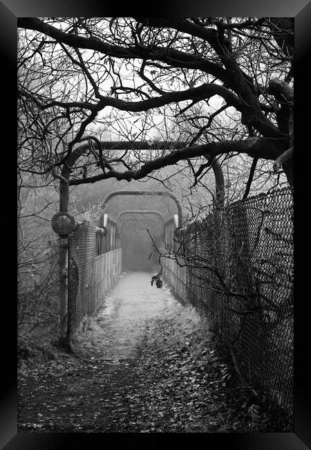 Eerie pathway  Framed Print by Sam Owen