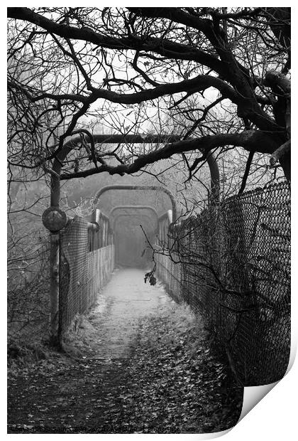 Eerie pathway  Print by Sam Owen