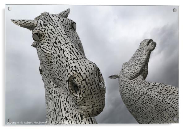 Kelpies at Falkirk - close-up Acrylic by Robert MacDowall